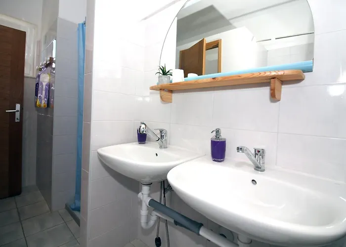 بيت شباب Marko